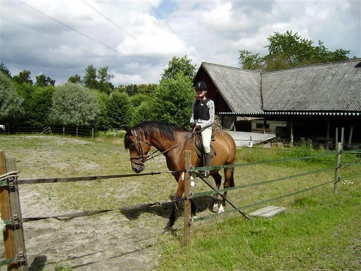 Anden særlig race Rubin<3 - Skridter varm<3 Foto: Mor billede 9