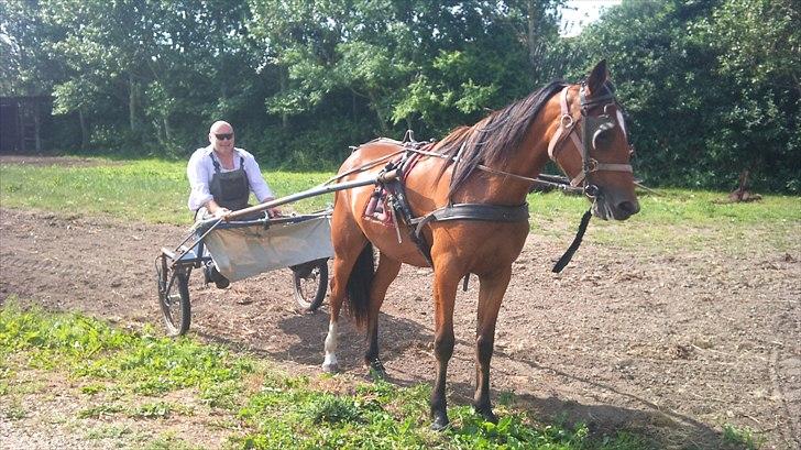 Traver Return Sujaki (Baby) - Den smukke viser hensyn til "den gamle" i vognen!! billede 6