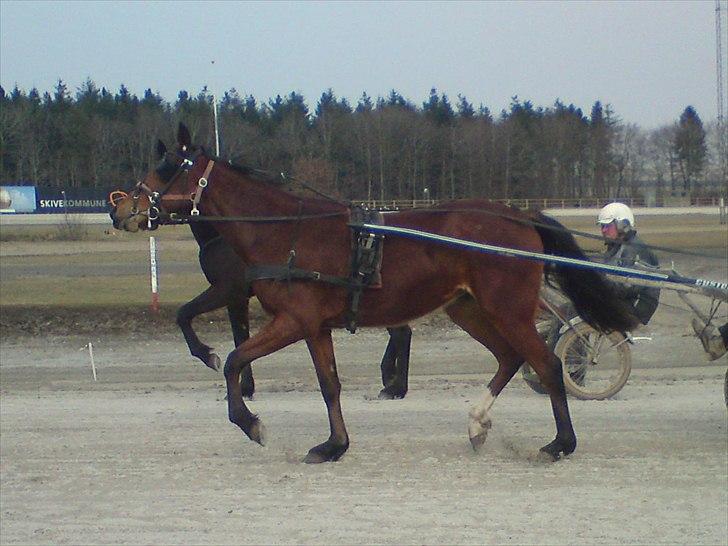 Traver Return Sujaki (Baby) - Baby´en for vogn på banen... billede 9