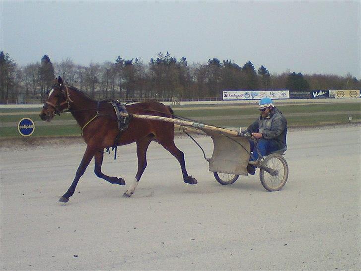 Traver Return Sujaki (Baby) - Fine lange skridt tager trunten!! billede 10