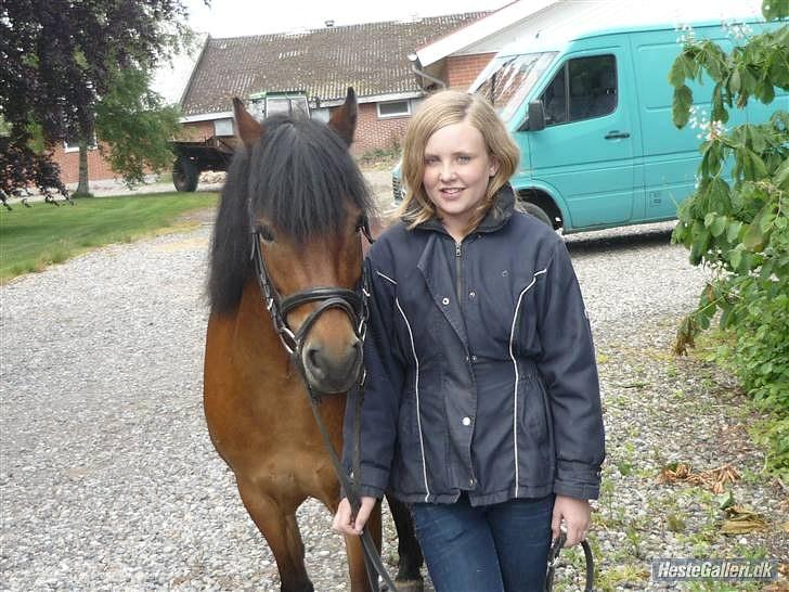 Dartmoor Innis Julian - soul mates forever i:  billede 13