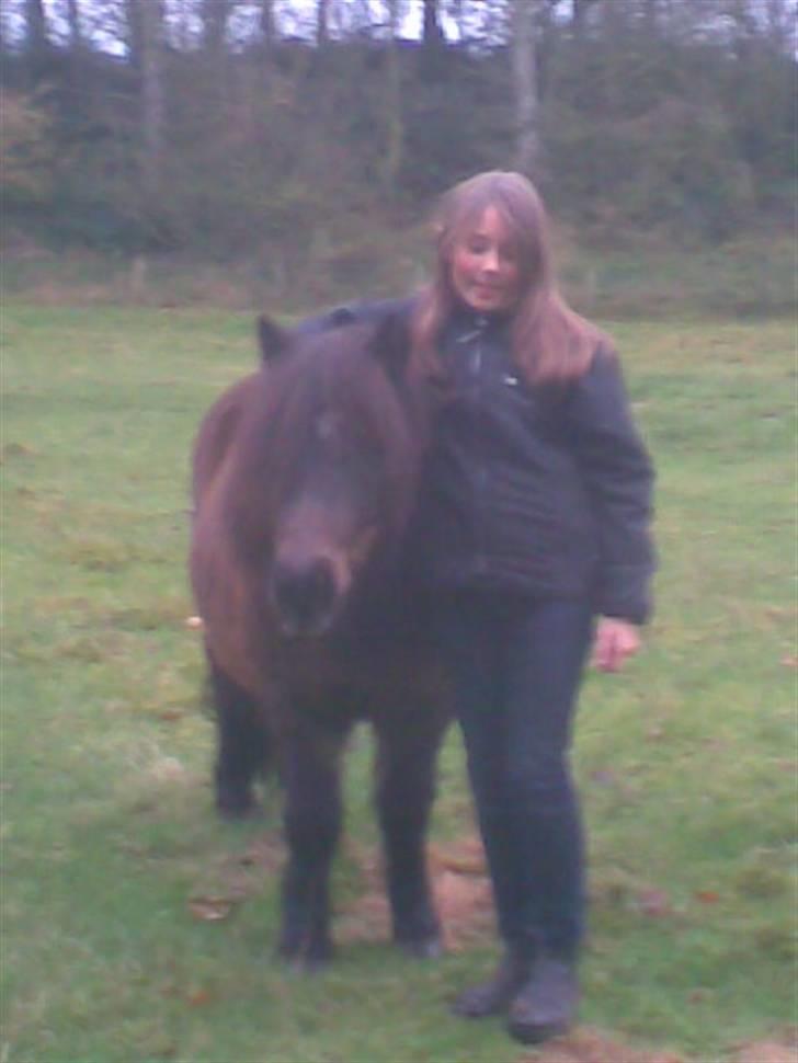 Anden særlig race Laban billede 14