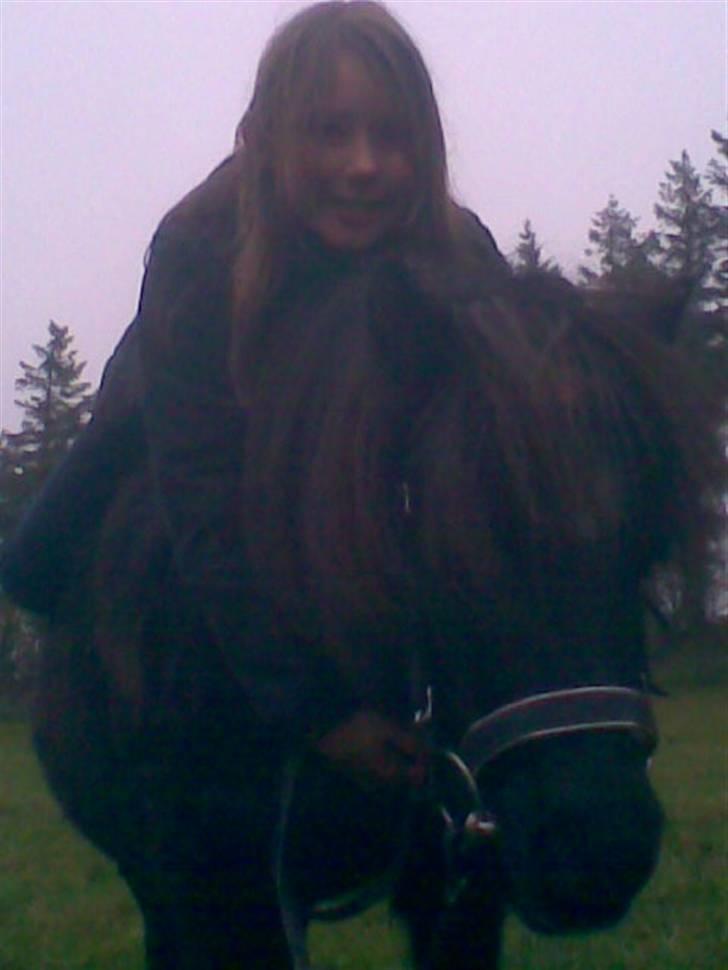 Anden særlig race Prins billede 16