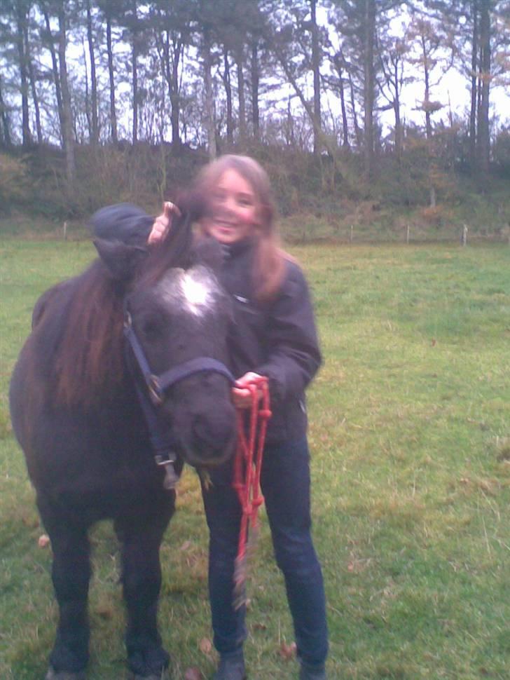 Anden særlig race Prins - hvad så smukke? ;D billede 18