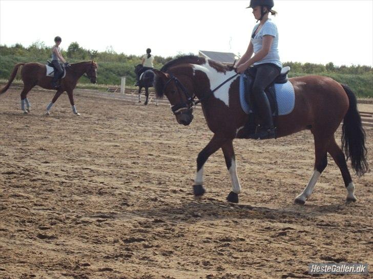 Anden særlig race Molly <3 *SAVN* - I sommers <3 billede 3