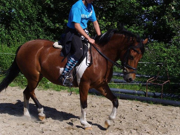 Anden særlig race Molly <3 *SAVN* - Sommer 2010 <3 billede 6