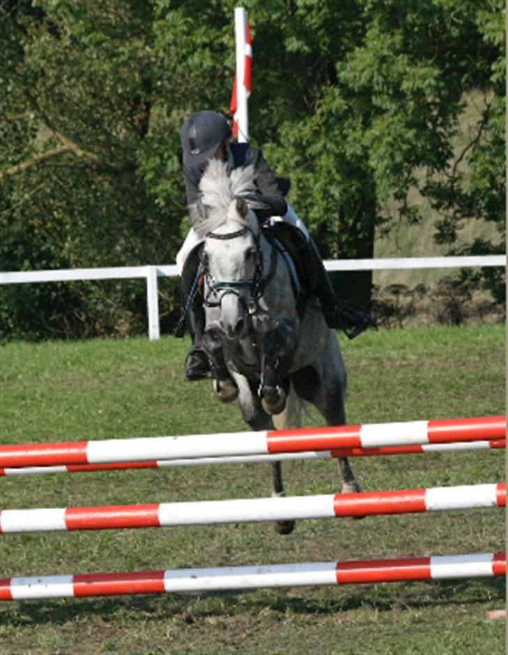 Anden særlig race Dyrkærgård Sping Sky - Sommer Pårup <3 han var mega Stærk! MB cup <3 billede 13