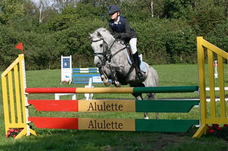 Anden særlig race Dyrkærgård Sping Sky - Sommer Pårup <3 han var mega Stærk! MB cup <3 billede 14