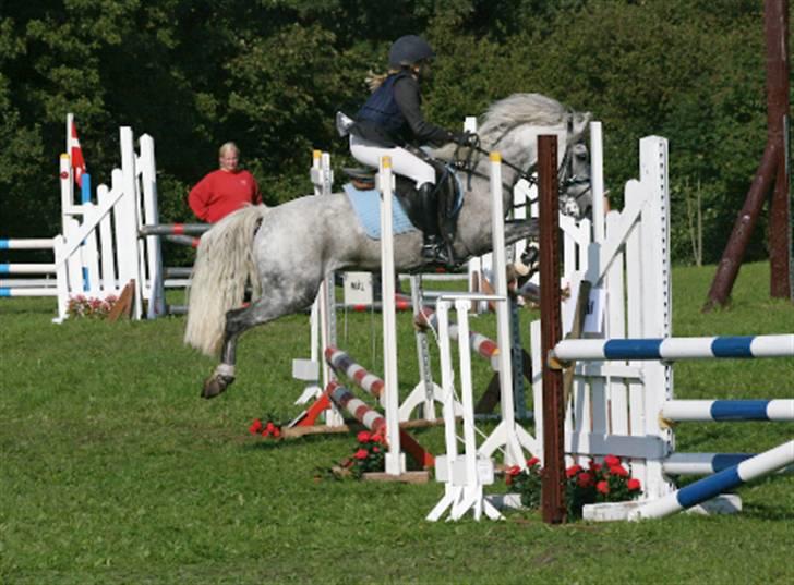 Anden særlig race Dyrkærgård Sping Sky - Sommer Pårup <3 han var mega Stærk! MB cup <3 billede 15