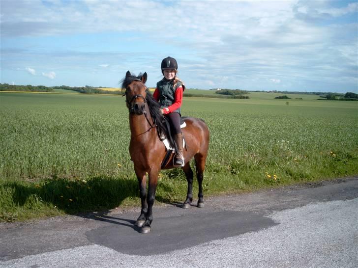 Dartmoor Savannah  - mig og savannah rider tur :) hun elsker det .. <3 billede 18