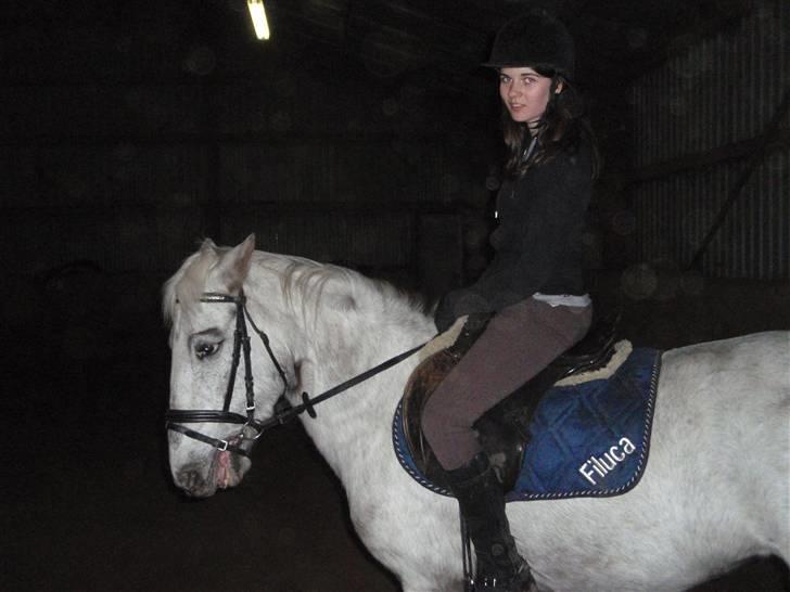 Anden særlig race Filuca - Filuca <3 billede 12