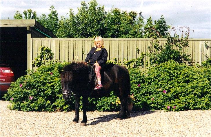 Anden særlig race Sille - Foto: Mor billede 9