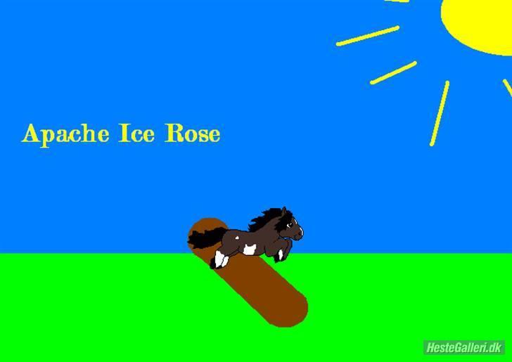 Paint Apache Ice Rose billede 7