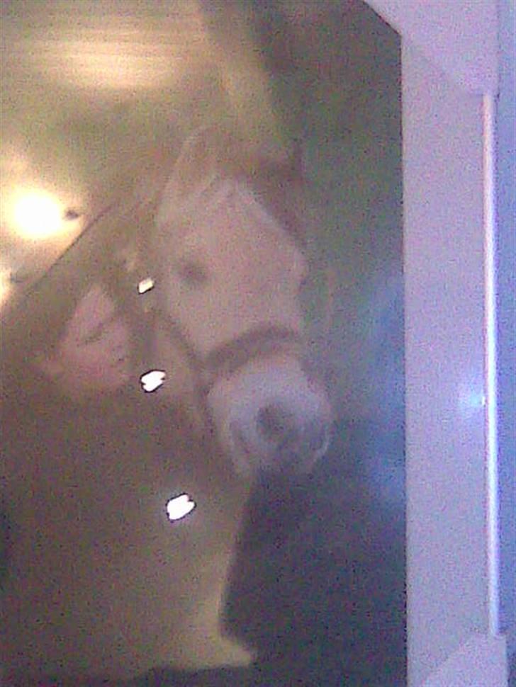 Fjordhest monet*SOLGT* billede 20