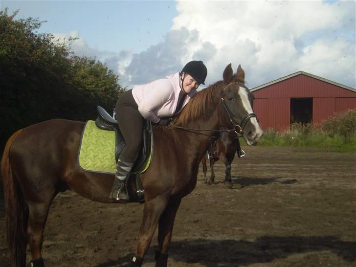 Anden særlig race Kashmir *Solgt* - Mig og en lidt træt Kassemand :) billede 5