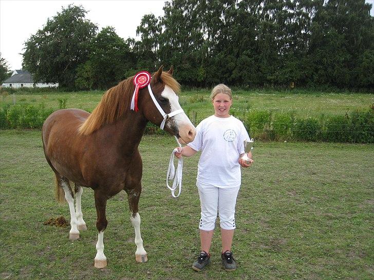 Welsh Pony af Cob-type (sec C) Gribvads Regge - D. 1/8 2009. Vi vandt børne og voksen mønstrings klassen, og vi hev også vandre pokalen for bedste mønstre 2009 med hjem! ;´) billede 16