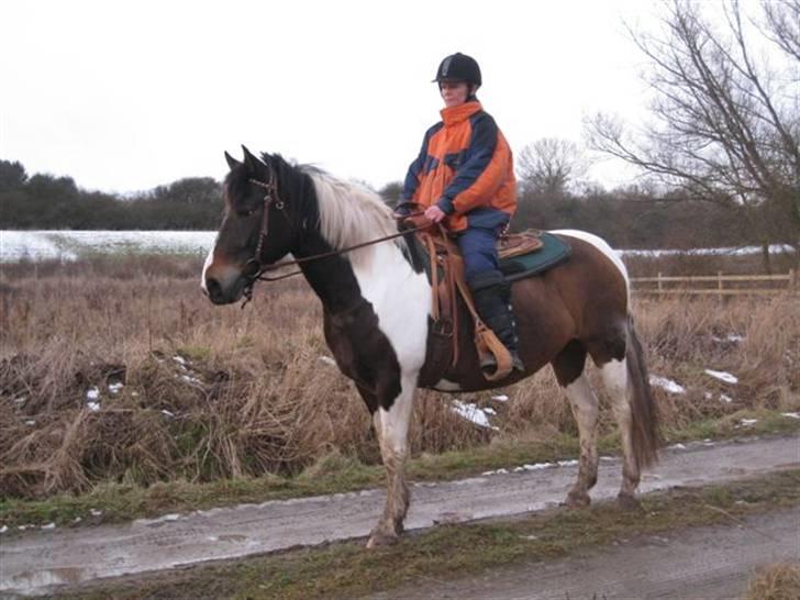 Pinto Cheyenne Teepee*SOLGT* billede 3