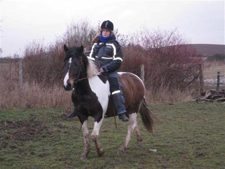 Pinto Cheyenne Teepee*SOLGT* billede 9