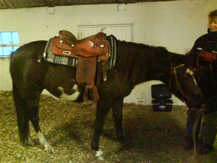 Paint Apache Ice Rose billede 19