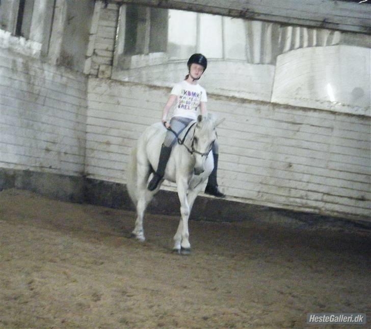 Anden særlig race Ladystar *R.I.P.* - Mig og Ladystar (foto Siv) billede 15