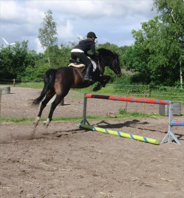 Anden særlig race Cindy  - Over 95 cm, helt uden problemer! jeg elsker dig! <3 billede 19