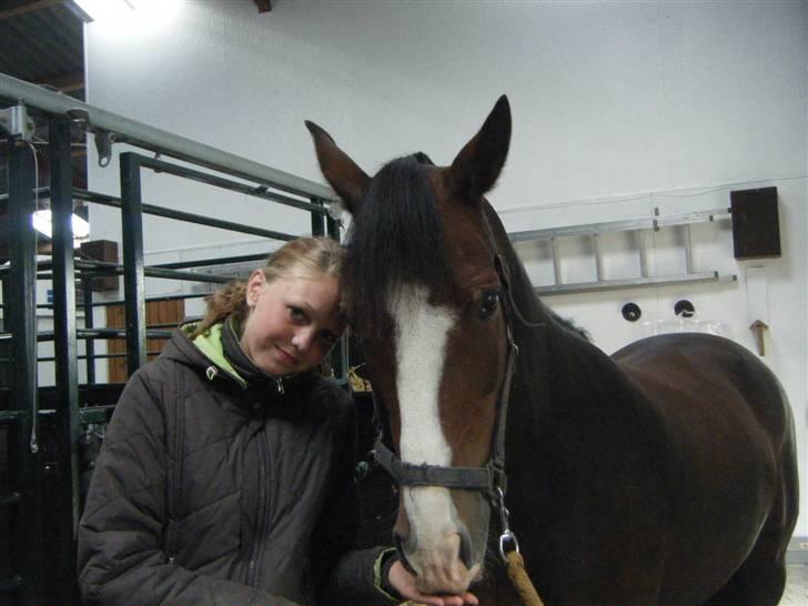 Hollandsk Sportspony Magic Pirock - Min dreng (´: billede 20