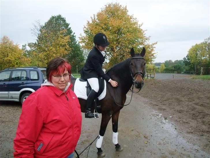 New Forest Elmholts Corso(har låndt) - det er min træner     (altså min mor) billede 14