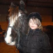 Anden særlig race Fleur (ridder ikk mere)