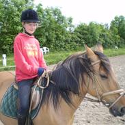 Anden særlig race Misty *Part*