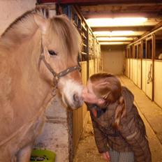 Fjordhest Lisa gammel part