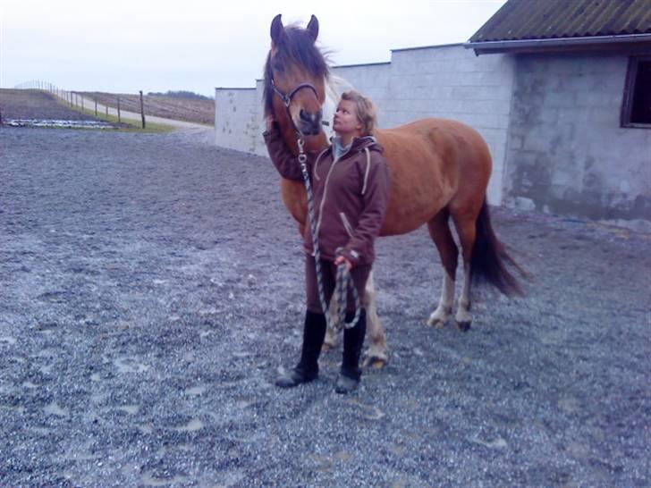 Anden særlig race Samba ( SOLGT )  - Jeg elsker dig min pony<3 billede 11