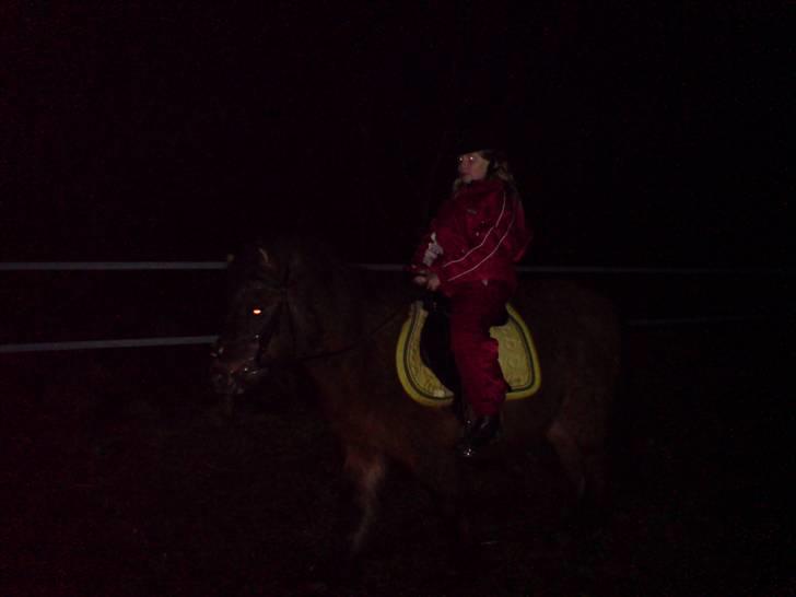 Welsh Pony (sec B) Trille "gået på pension" - amanda rider på trille hvor det er næsten mørkt billede 2