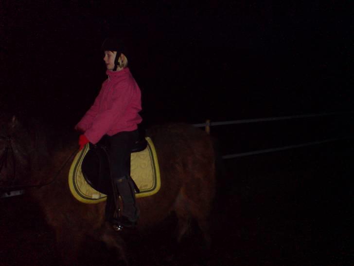 Welsh Pony (sec B) Trille "gået på pension" - tenna rider på trille i næsten mørke billede 3
