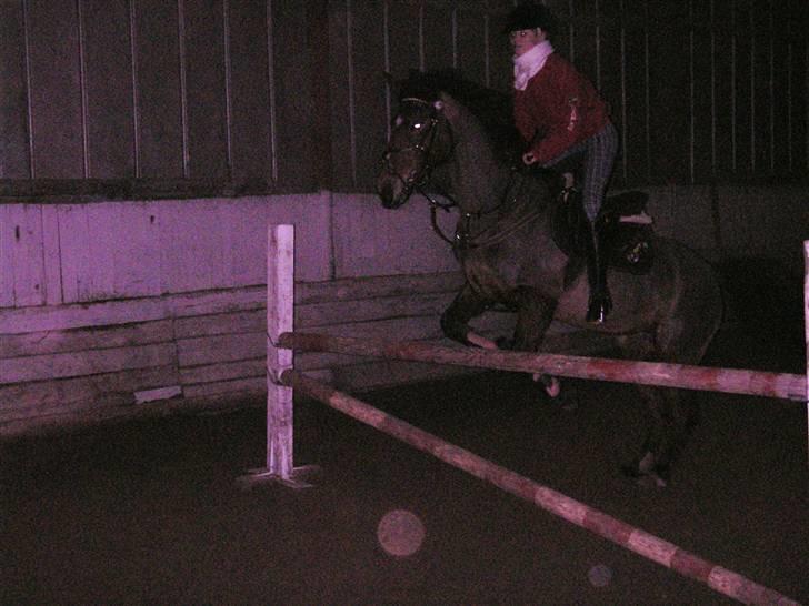 Anden særlig race Flying Mizty - ac springer mizty :) [taget af: nico] billede 20