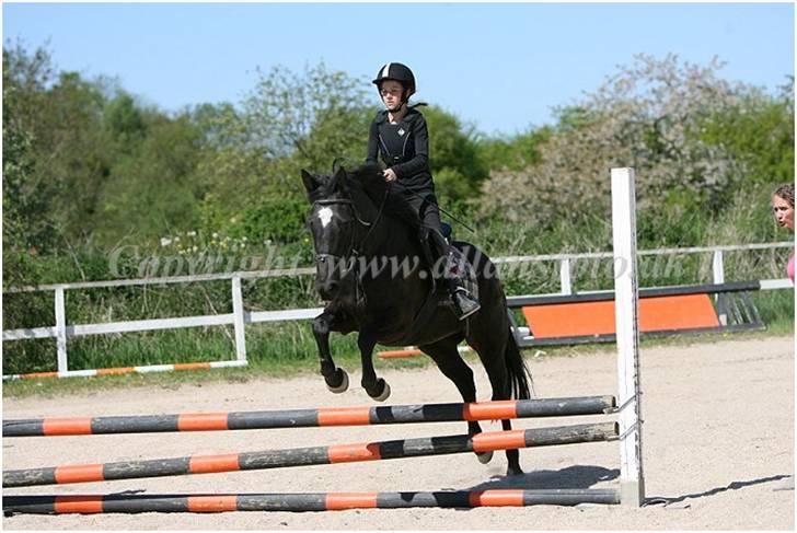 Anden særlig race Jasmin - Min lille skat billede 1