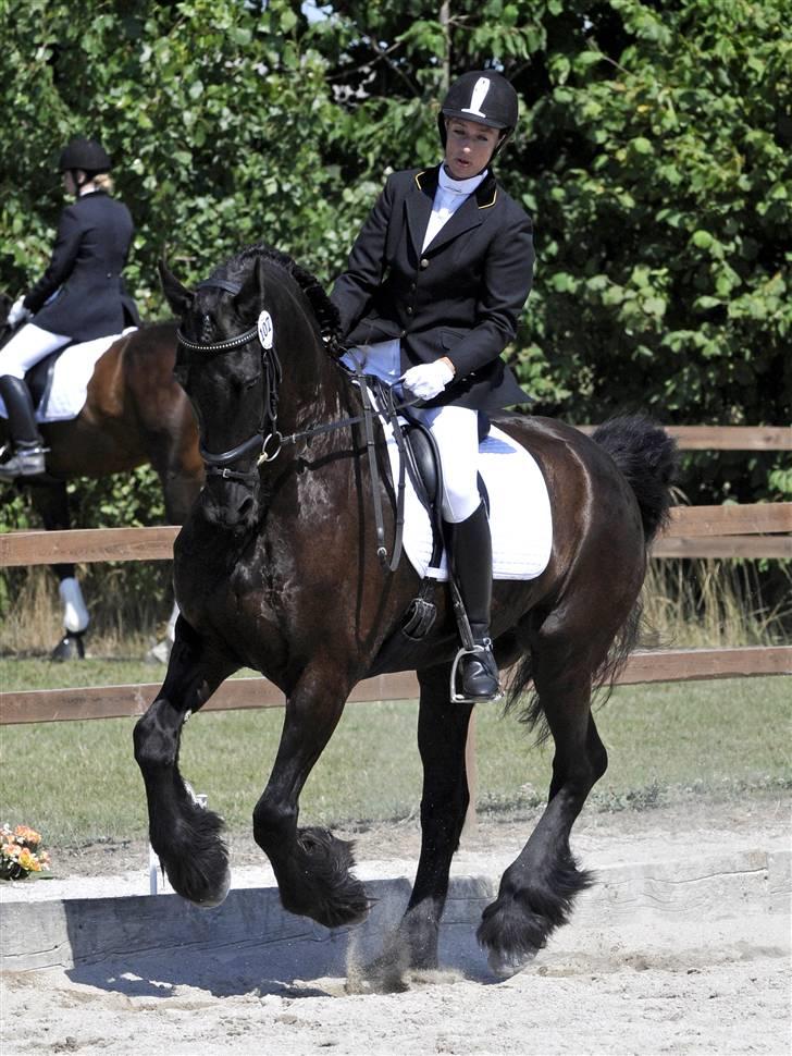 Frieser Lukas - Solrød Hestival stævne 2008, LA-1. Vi fik 64% i den ene LA-1 klasse. En delt 9 plads ud af 22 startende. :o) billede 3