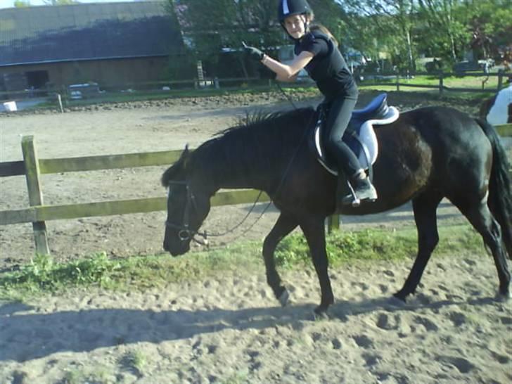 Anden særlig race Jasmin - Ret komisk billed :) billede 6