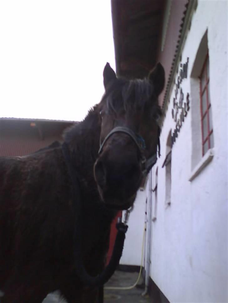 Anden særlig race Lego<3<3(tidl. part)<3<3 - Er han ikke bare dejlige<3 billede 14