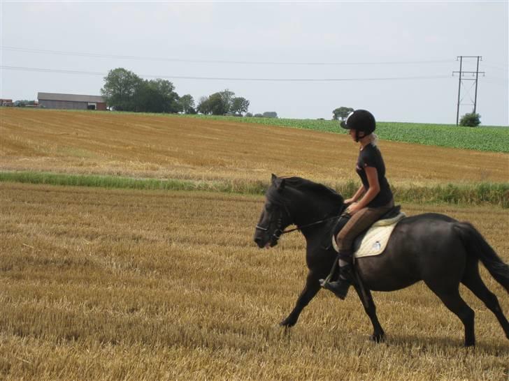 Anden særlig race Lego<3<3(tidl. part)<3<3 - En tur på stup marken<3:) billede 15