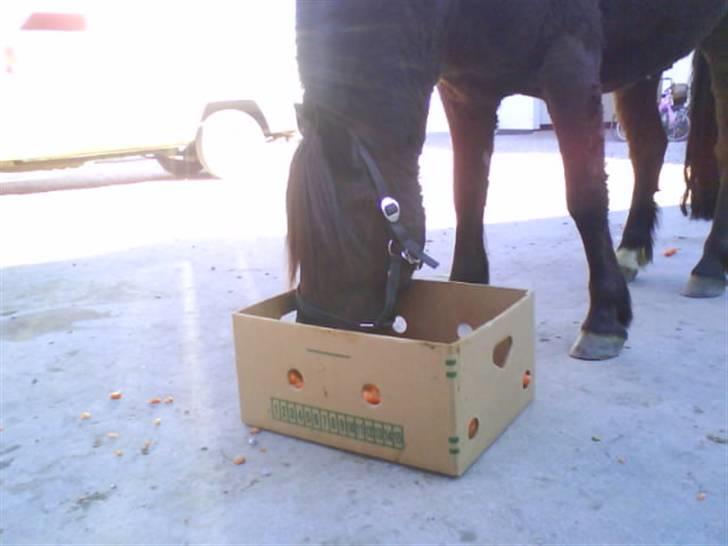 Anden særlig race Lego<3<3(tidl. part)<3<3 - En stor kasse med gulerødder, Mmm lego var ikk til at fjerne<3:D billede 16