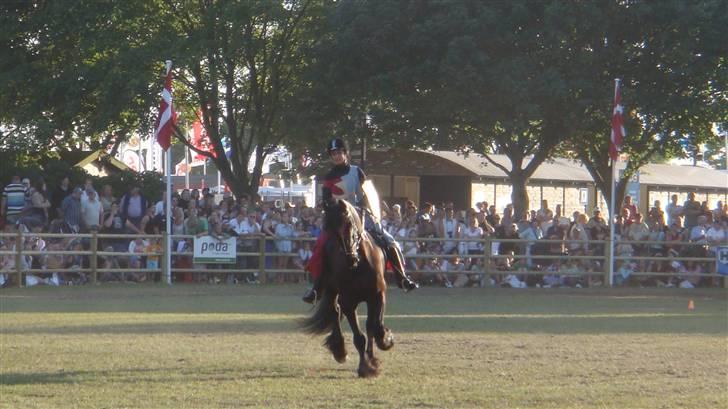 Frieser Lukas - Opvisning fra Roskilde Dyrskue 2008 med "Sort Guld" billede 6