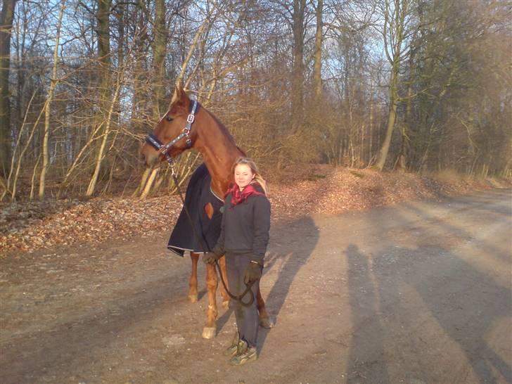 Traver Destany - så er han kommet ud af traileren  billede 15