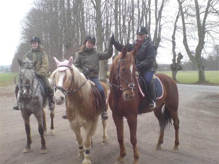 Traver Destany - mig og min bedsteveninde. da jagten var slut. billede 18