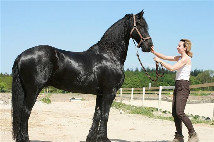 Frieser Lukas - Lukas og mig forsommeren 2008. Han har siden hen fået meget mere hals pga. træning. billede 15