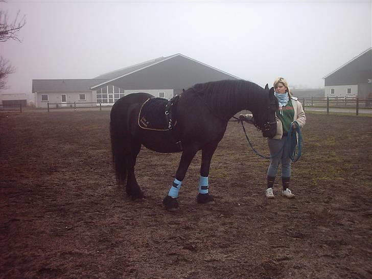 Frieser anne af karmark  R.I.P - første dag på ridebanen hvor hun var opstaldet billede 2