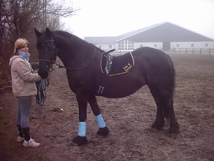 Frieser anne af karmark  R.I.P - hygge på ridebanen billede 3