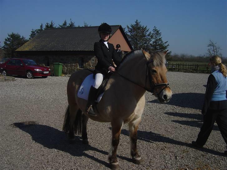 Fjordhest Mia-Maja (SOLGT) - Mit aller første stævne  billede 15