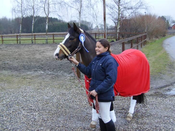 DSP Verona (Donse) billede 10