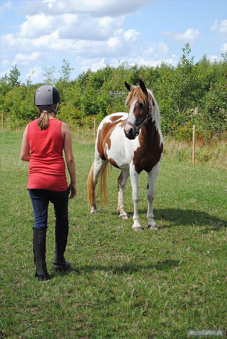 Anden særlig race Tango Lady. - velkommen til Prinessens profil! Jeg elsker dig seje!<3 billede 1