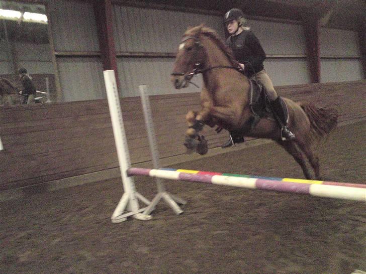 Anden særlig race Baloo. <3 R.I.P: billede 11